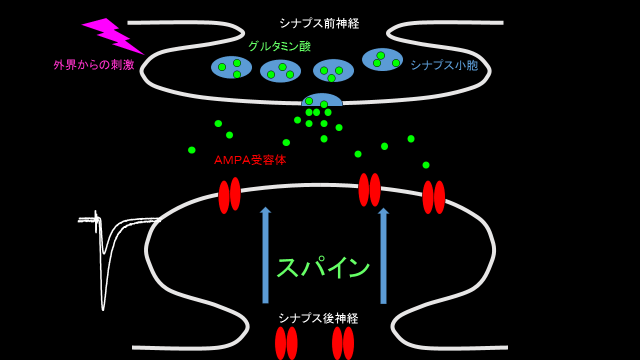 研究テーマ概要